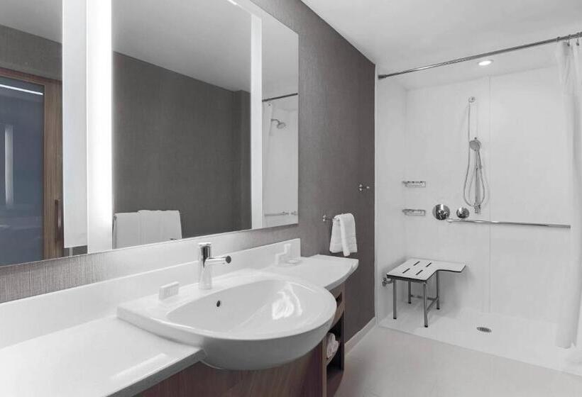 Люкс, Springhill Suites By Marriott Auburn
