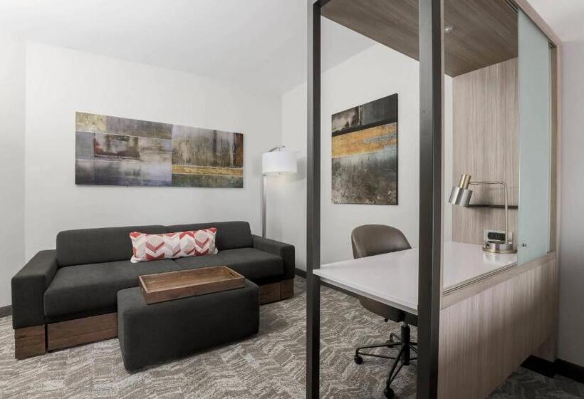 Люкс, Springhill Suites By Marriott Auburn