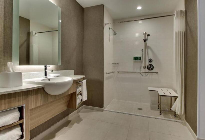 キングサイズベッドのスイートルーム, Springhill Suites By Marriott Montgomery Downtown