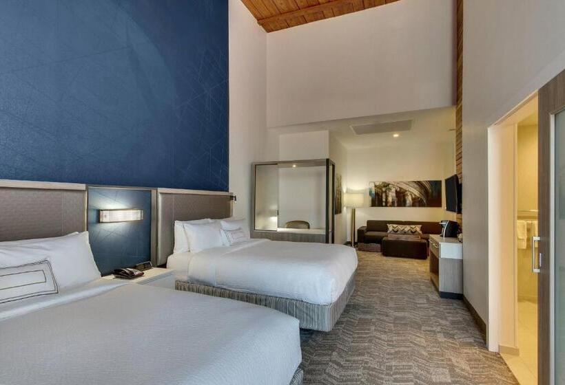 スイート, Springhill Suites By Marriott Montgomery Downtown
