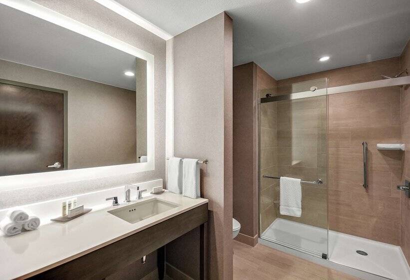 جناح بريميوم, Embassy Suites By Hilton Jonesboro Red Wolf Convention Center