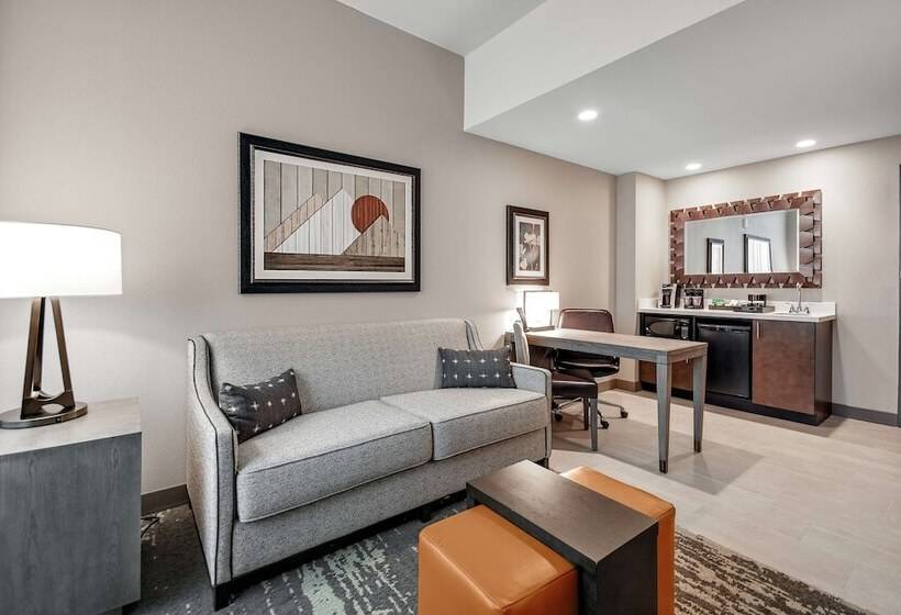 Люкс Премиум, Embassy Suites By Hilton Jonesboro Red Wolf Convention Center