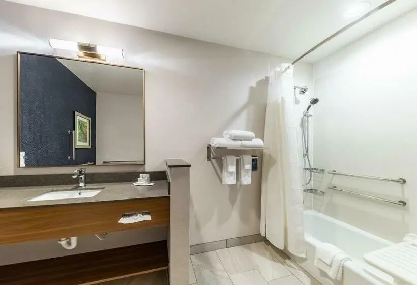 キングサイズベッドのスイートルーム, Fairfield Inn & Suites By Marriott Gainesville I35