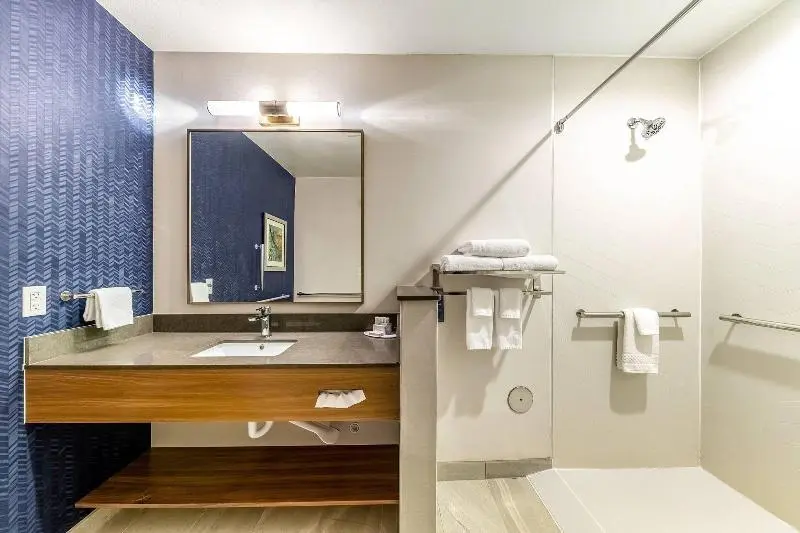 キングサイズベッドのスタンダードルーム, Fairfield Inn & Suites By Marriott Gainesville I35