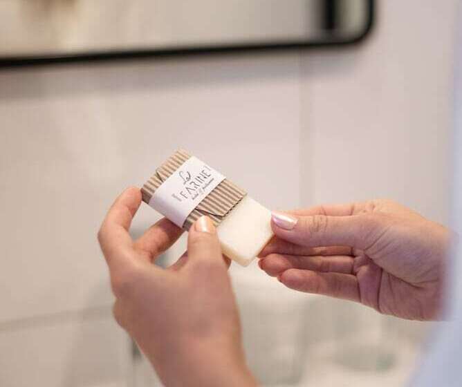 Номер Стандарт Вид на Горы, Lafarine