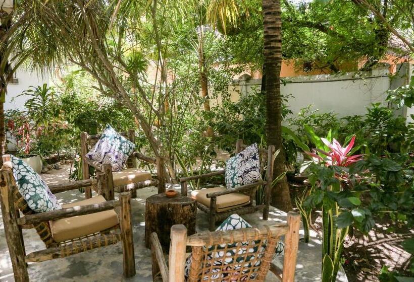 스위트, Mr Kahawa