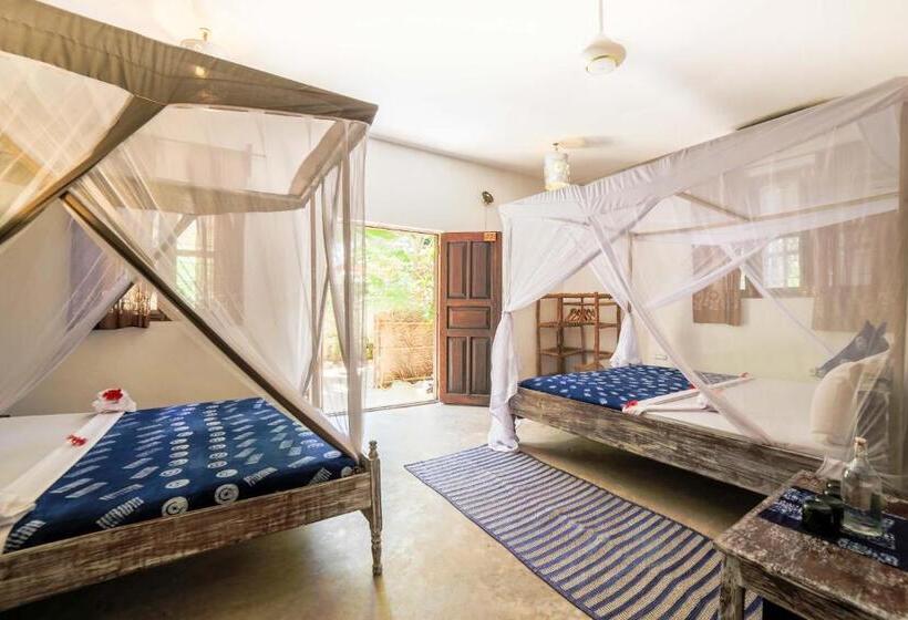 패밀리 스위트, Mr Kahawa