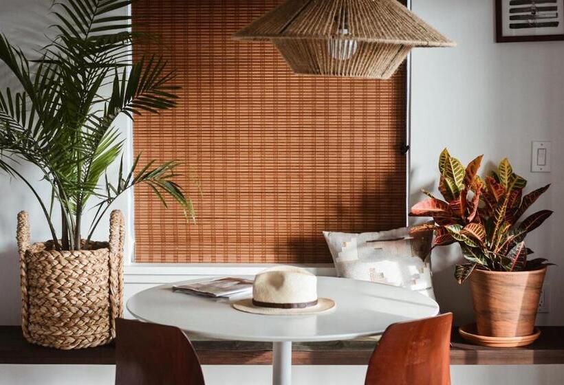 디럭스 스튜디오, Lokal Hotel Cape May