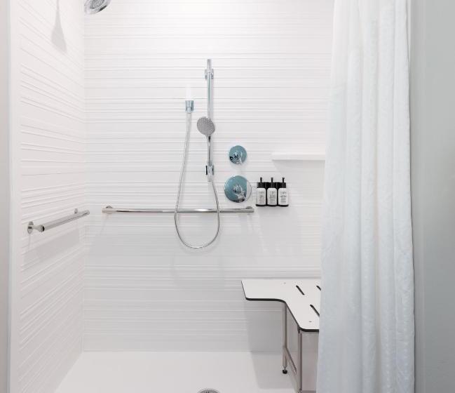 장애인을 위한 킹사이즈 침대 스탠다드 룸, Avid Hotels Madison Monona, An Ihg