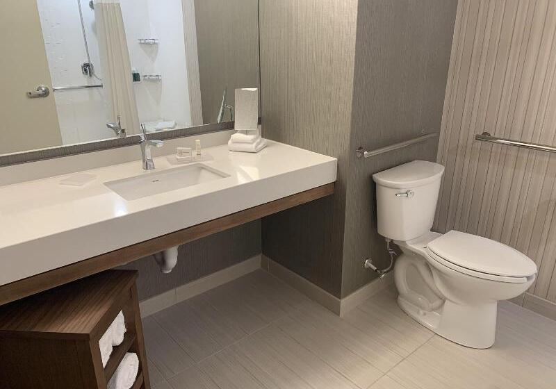 带大床的标准间, Courtyard By Marriott East Lansing Okemos