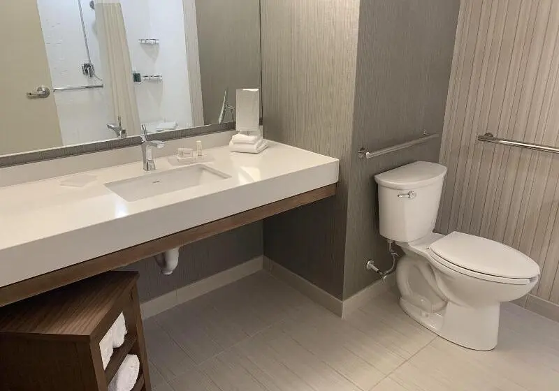 キングサイズベッドのスタンダードルーム, Courtyard By Marriott East Lansing Okemos