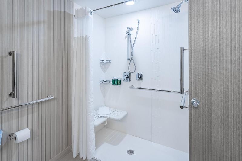 带大床的套房, Courtyard By Marriott East Lansing Okemos