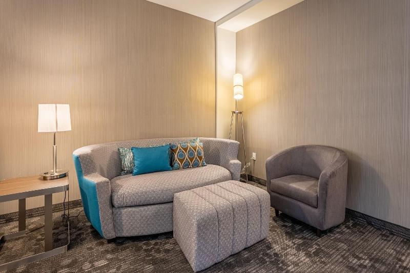 اتاق استاندارد با تخت بزرگ, Courtyard By Marriott East Lansing Okemos