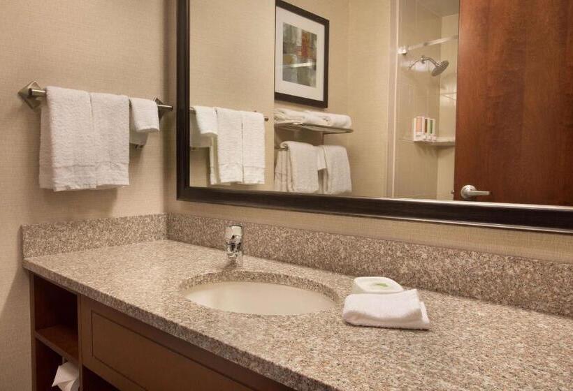 キングサイドベッドのスタンダードワンルーム, Drury Inn And Suites Denver Central Park