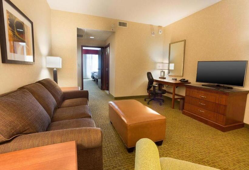 스탠다드 스튜디오 킹침대, Drury Inn And Suites Denver Central Park