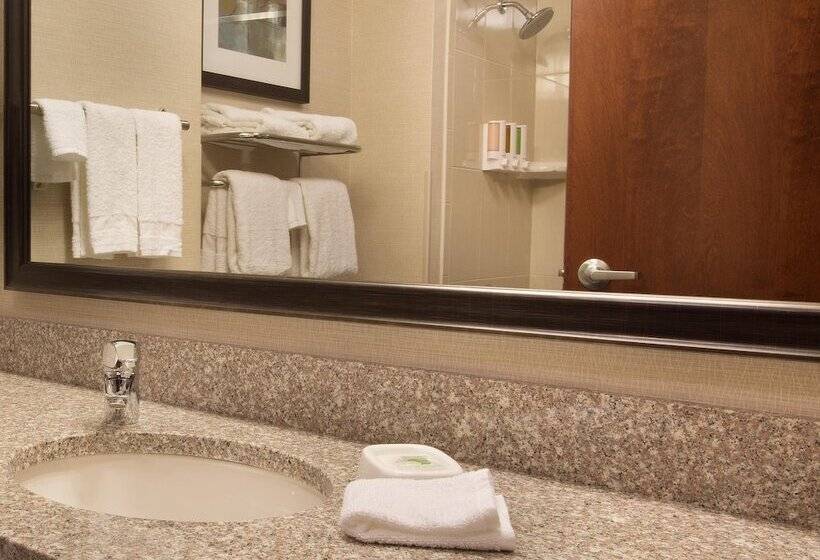 障害者適応デラックスルーム, Drury Inn And Suites Denver Central Park