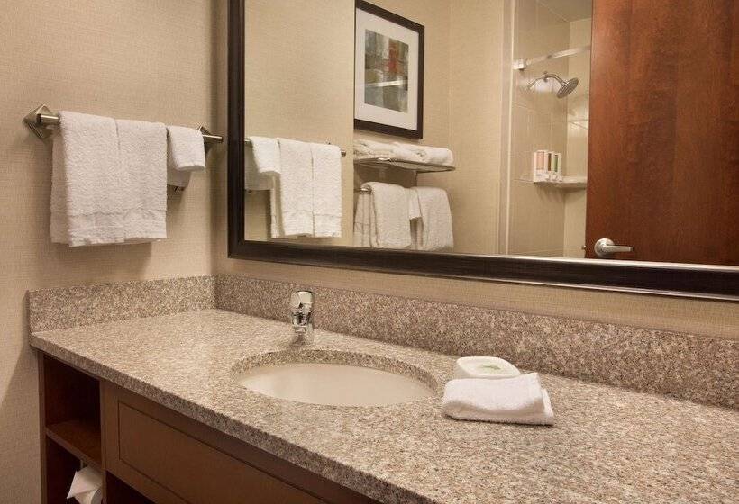 障害者適応デラックスルーム, Drury Inn And Suites Denver Central Park