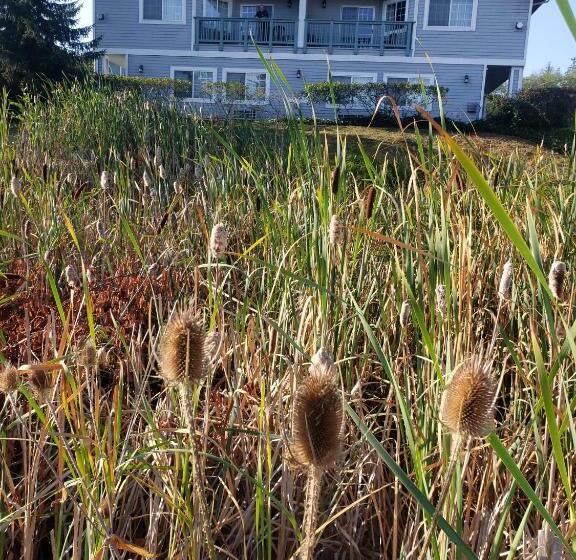 غرفة قياسية سرير كينج, Fidalgo Country Inn