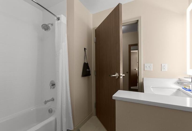 스위트, Holiday Inn Express & Suites   Fayetteville South, An Ihg