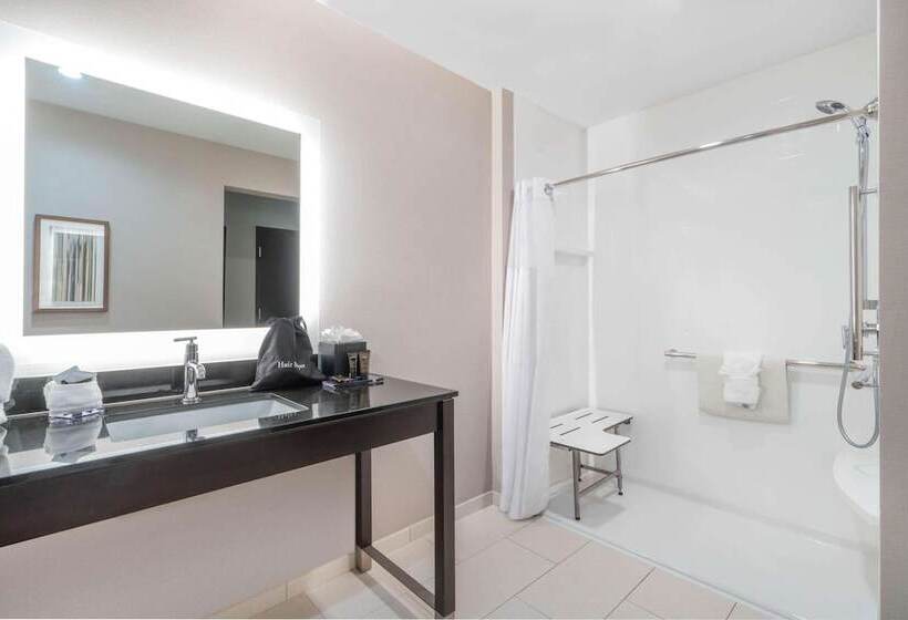 סוויטה מותאמת לאדם עם מוגבלויות, Wingate By Wyndham Moab