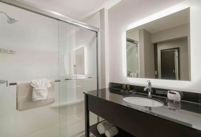 חדר דלוקס, Wingate By Wyndham Moab