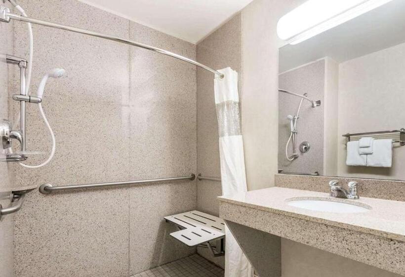 חדר סטנדרט, מיטת קינג, מותאם לאדם עם מוגבלויות, Wingate By Wyndham Moab