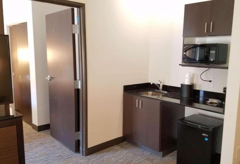 סוויטה מותאמת לאדם עם מוגבלויות, Wingate By Wyndham Moab