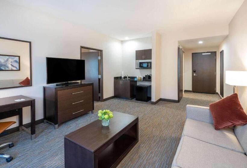 סוויטה מותאמת לאדם עם מוגבלויות, Wingate By Wyndham Moab