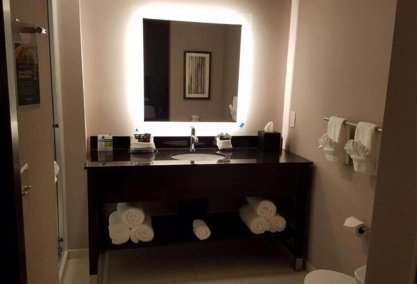 חדר סטנדרט, Wingate By Wyndham Moab