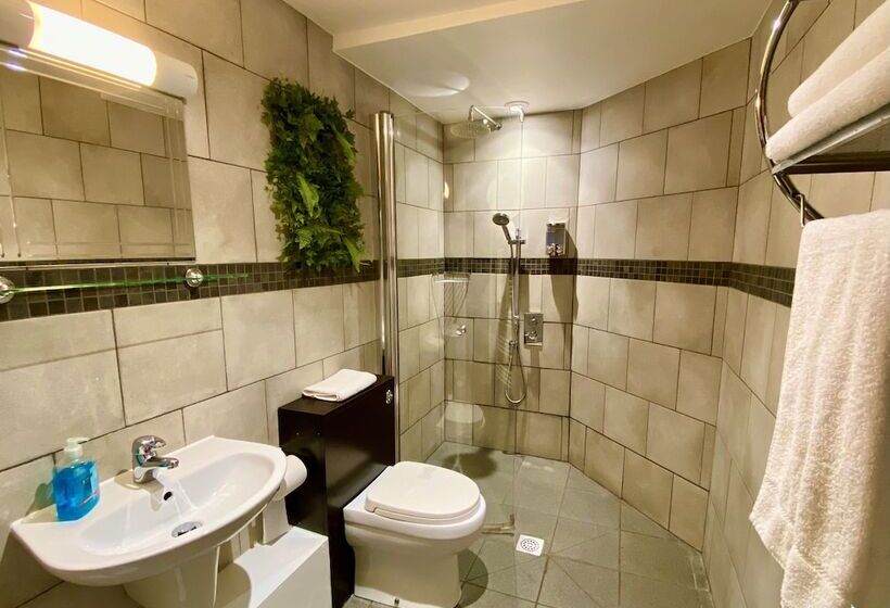 غرفة قياسية, The Ferryboat