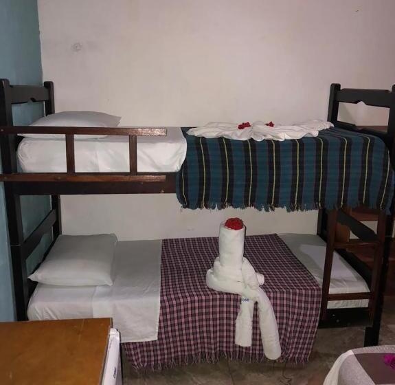 اتاق استاندارد چهار تخته, Pousada Villa Dellerose