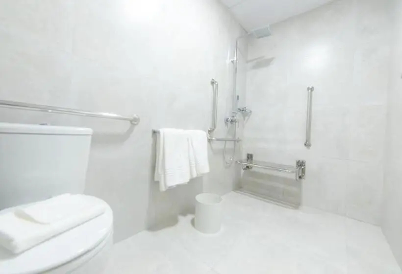 身障者適用スタンダードルーム, Intercity Campina Grande Citymix