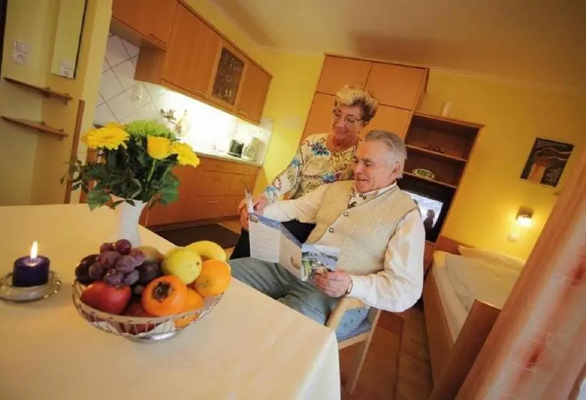 آپارتمان 1 خوابه, Appartement Haus Salzburg