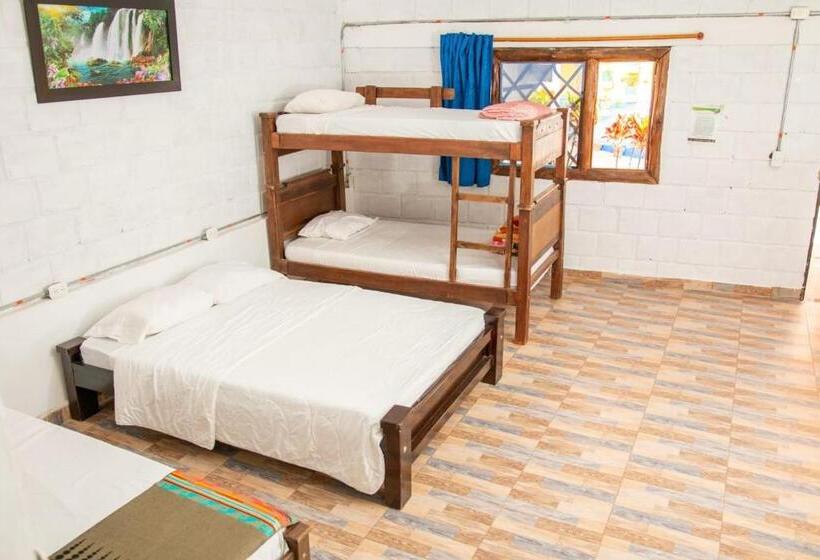 スタンダード4人部屋, Arqueológico San Agustín