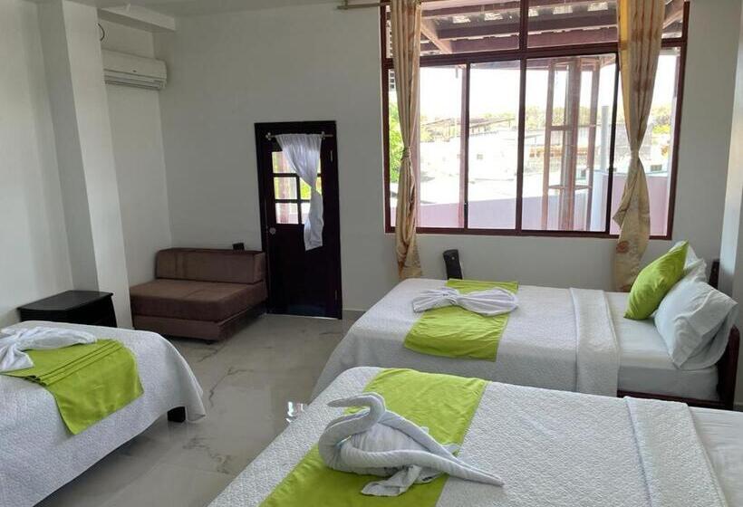 Négyágyas Standard Szoba, Hostal Carliza