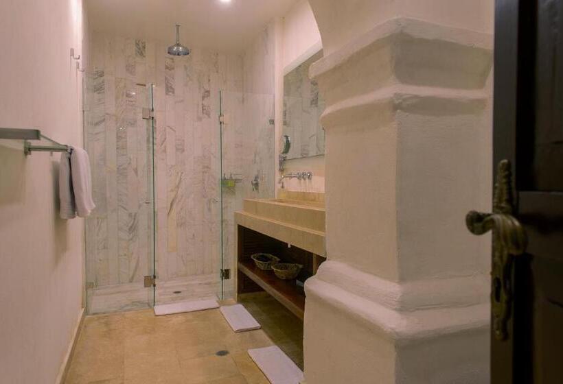 Номер Стандарт, Leones De Alba Hotel Boutique