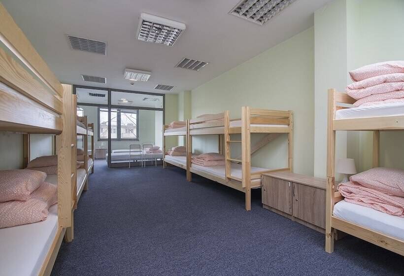 共用房间的床, Sea Hostel