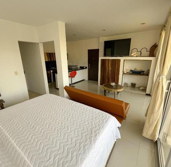 استودیوی استاندارد با چشم‌انداز دریا, Tnt Mirador