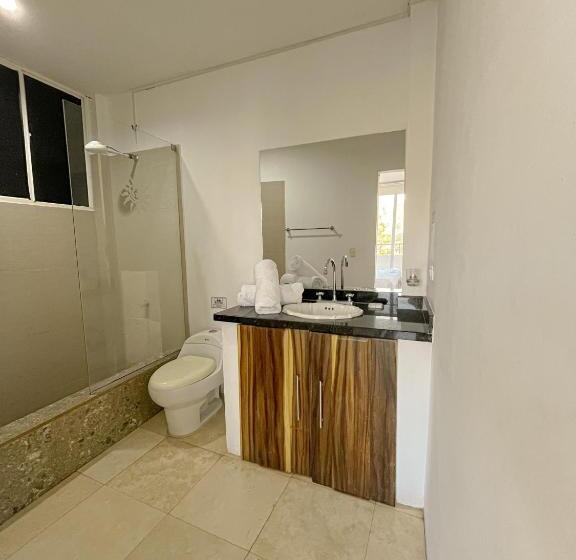 استودیوی استاندارد با چشم‌انداز دریا, Tnt Mirador