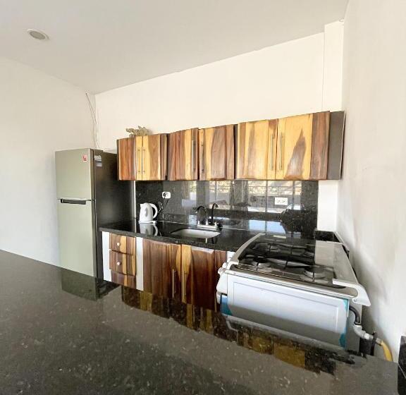 استودیوی استاندارد با چشم‌انداز دریا, Tnt Mirador