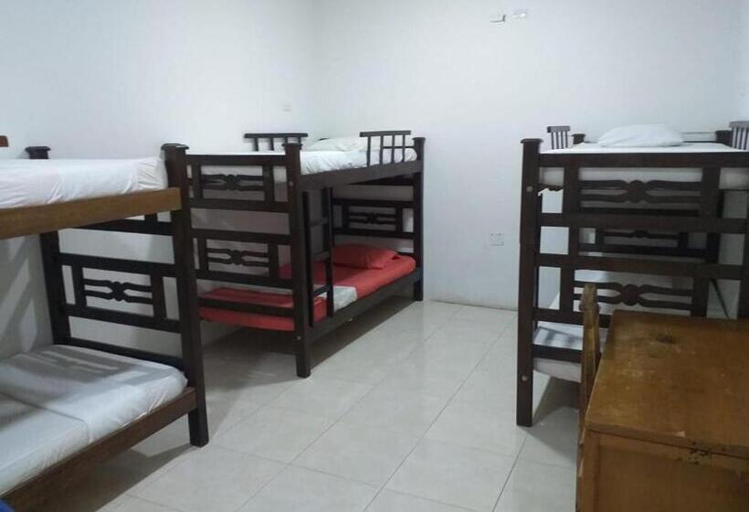 اتاق خانوادگی, Tnt Mirador