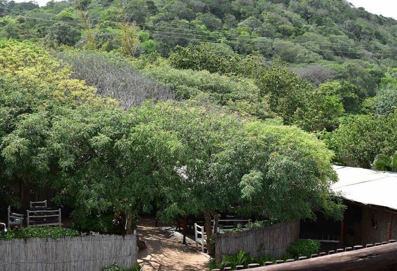 デラックスバンガロー, Gamboozini Lodge