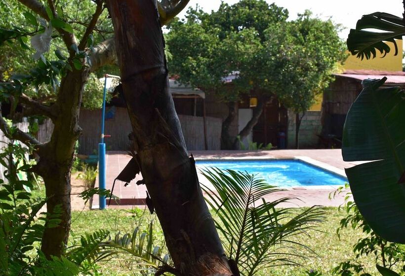 シングルベーシックルーム, Gamboozini Lodge