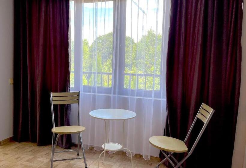 اتاق استاندارد با تخت بزرگ, Sv Hotel Batumi