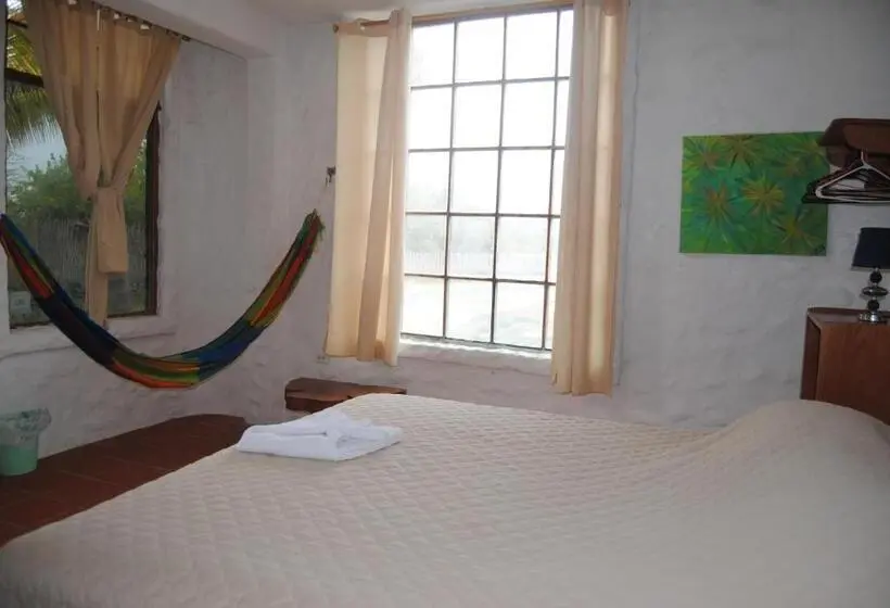 اتاق استاندارد یک نفره, Hostal Galapagos By Bar De Beto