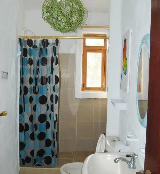 اتاق استاندارد با تخت بزرگ, Hostal Galapagos By Bar De Beto