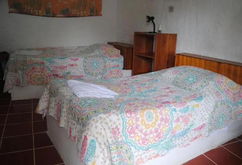 تختخواب در اتاق مشترک, Hostal Galapagos By Bar De Beto