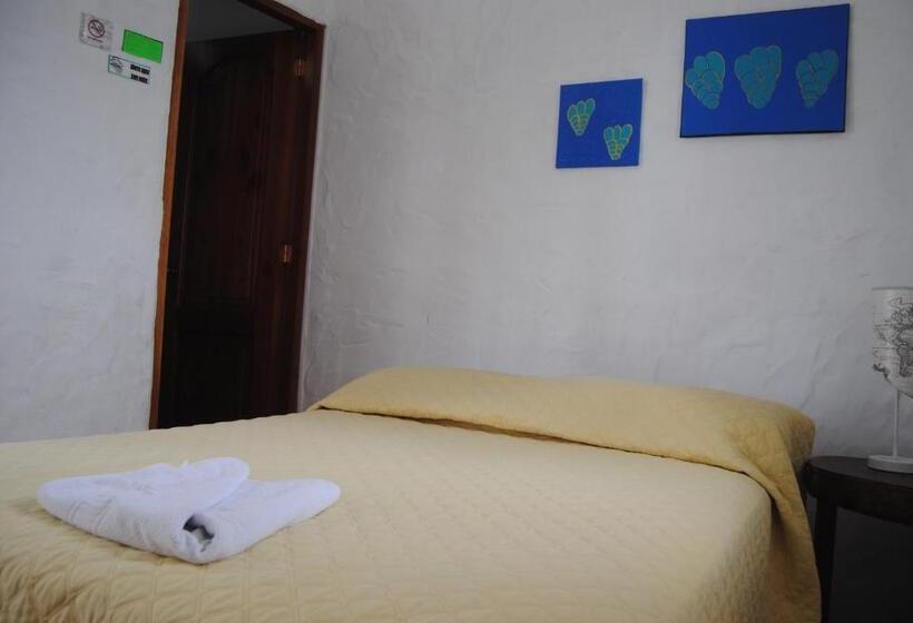 Номер Стандарт Индивидуальный, Hostal Galapagos By Bar De Beto