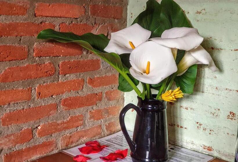 キングサイズベッドのスイートルーム, Alas De La Sierra