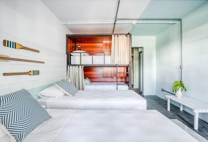 패밀리 룸, Selina Floripa